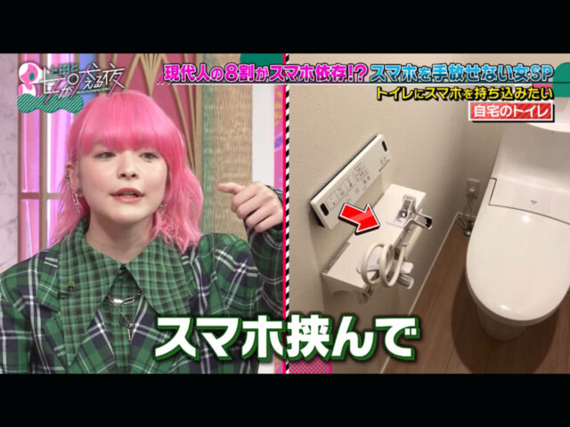 アンジェリーナ1/3はトイレにスマホホルダーがついている?