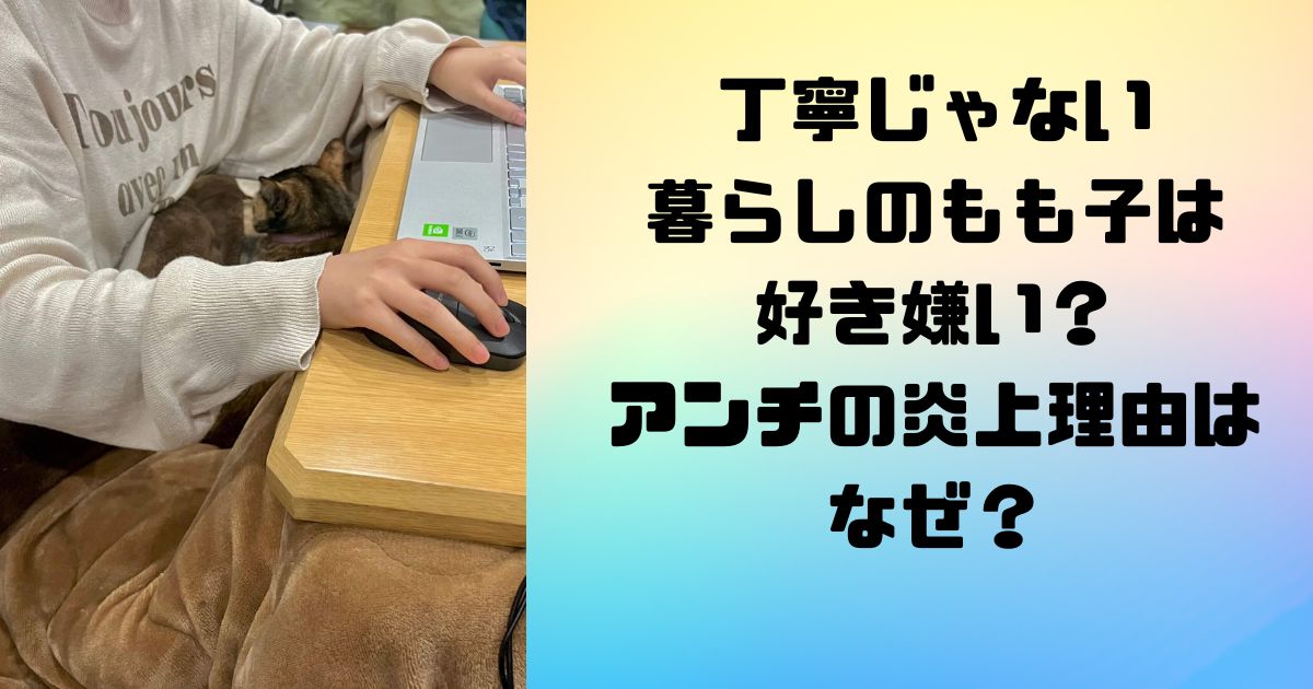 丁寧じゃない暮らしのもも子は好き嫌い？アンチの炎上理由はなぜ？